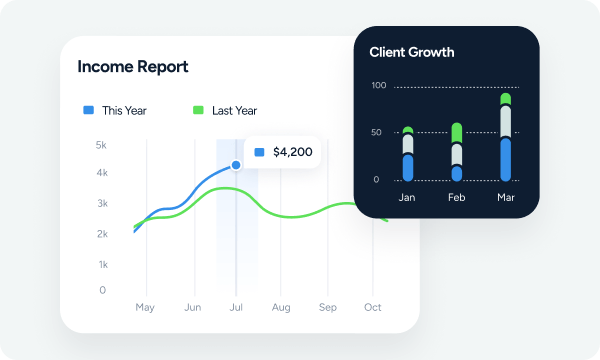 IBS Income Report